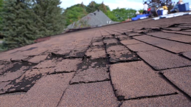 Best Roof Leak Repair  in Stacy, MN