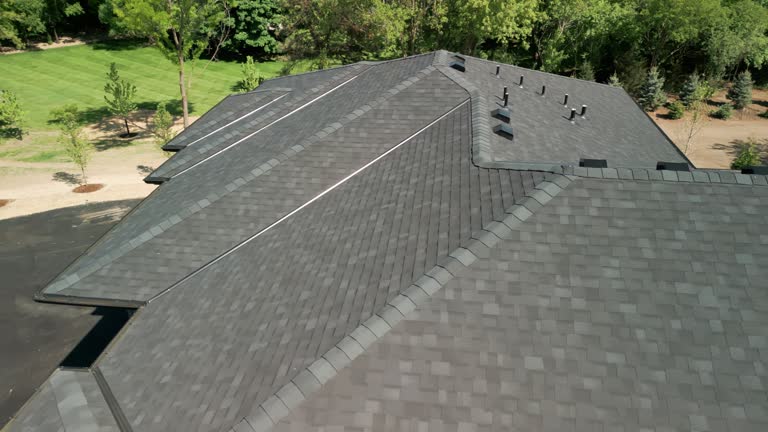 Best Solar Panel Roofing Installation  in Stacy, MN